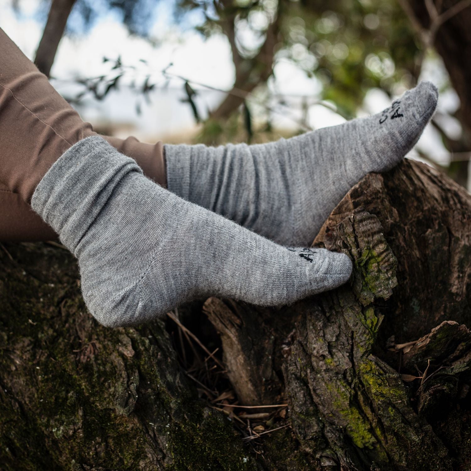 Cape Alpaca Socks Collection