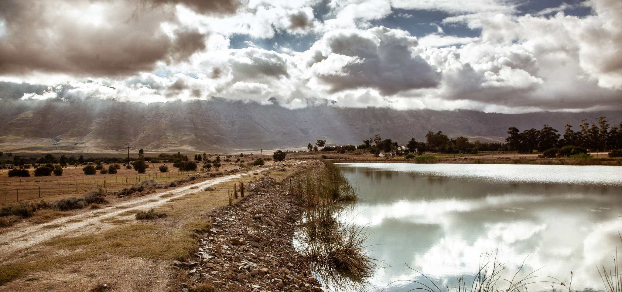 Quenti Alpaca farm dam