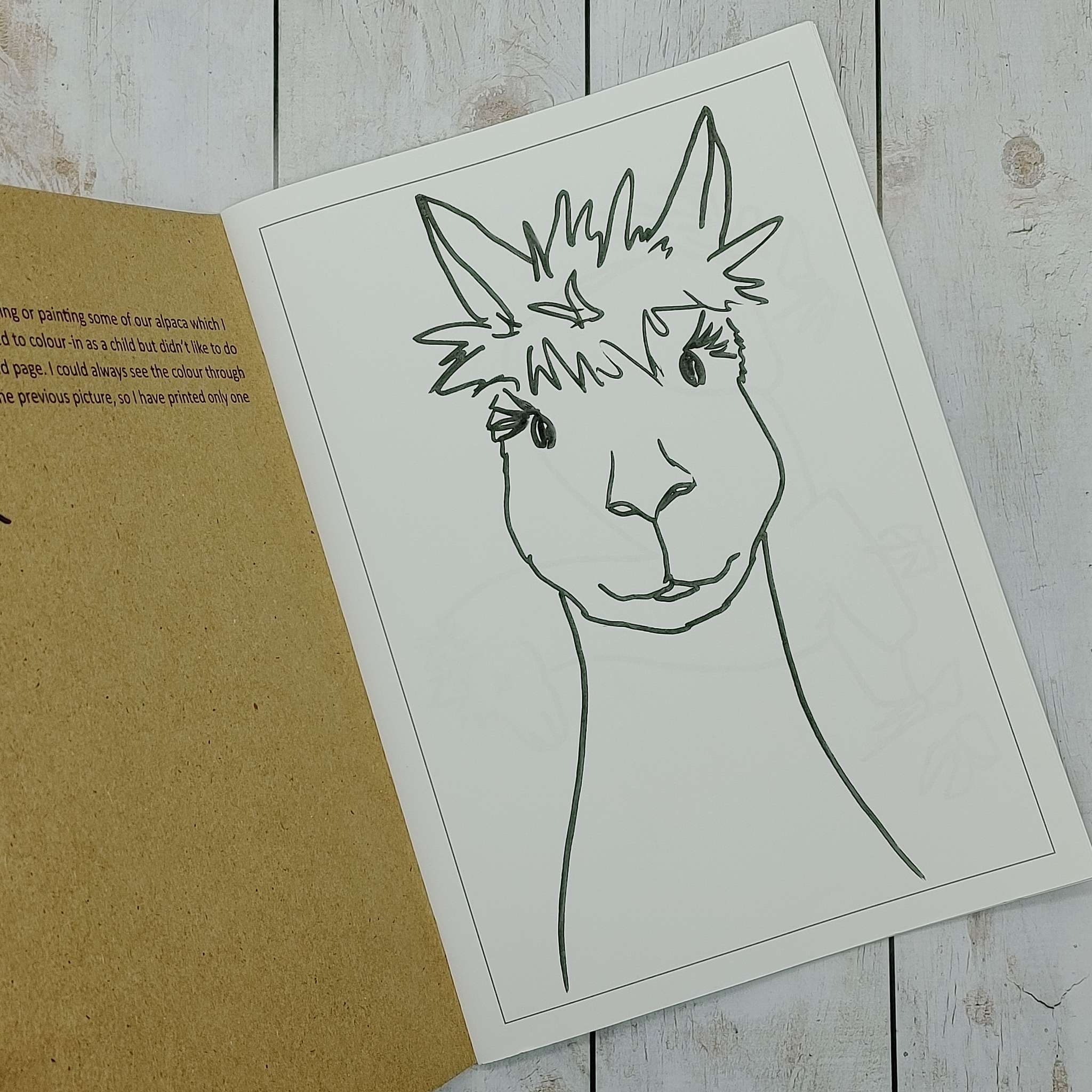Quenti Colouring Book (A4)